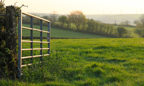 A farm gate opening up into a pasture.