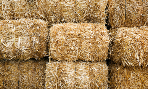 Stacked square bales of hay.