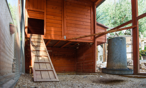 A chicken coop.