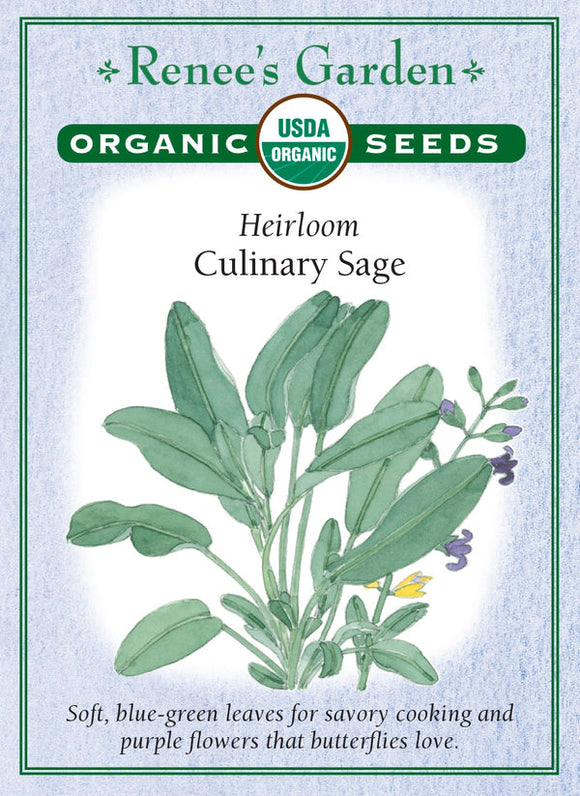 Renee's Garden Heirloom  Culinary Sage