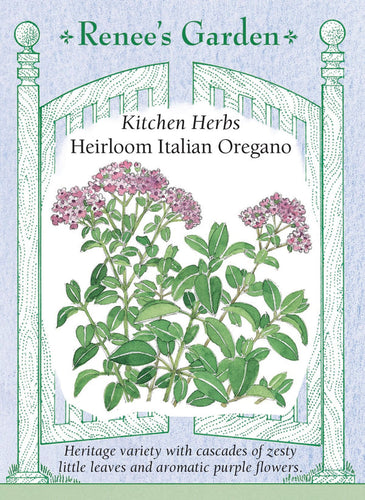 Renee's Garden Heirloom Italian Oregano