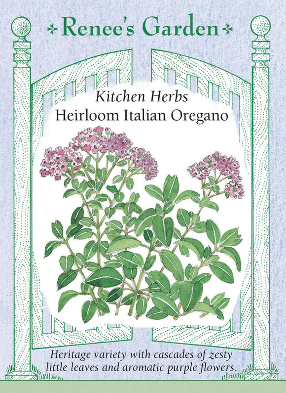 Renee's Garden Heirloom Italian Oregano