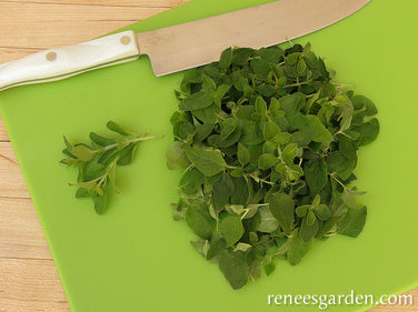 Renee's Garden Heirloom Italian Oregano