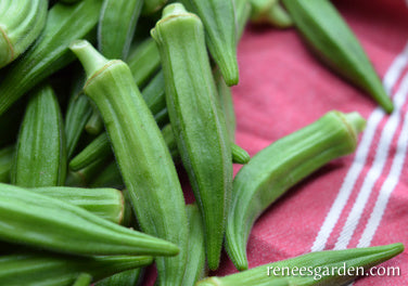 Renee's Garden Garden Okra Jambalaya