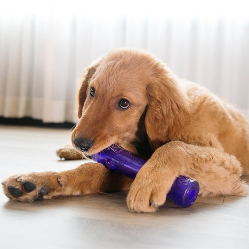 KONG Squeezz Stick Dog Toy