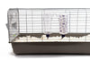 Lixit Rabbit Bottle With Deluxe Holder Set