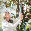 Aion Mosquito Barrier - Traps Mosquitos