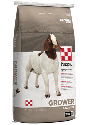 Purina® Goat Grower 16 Plus Up